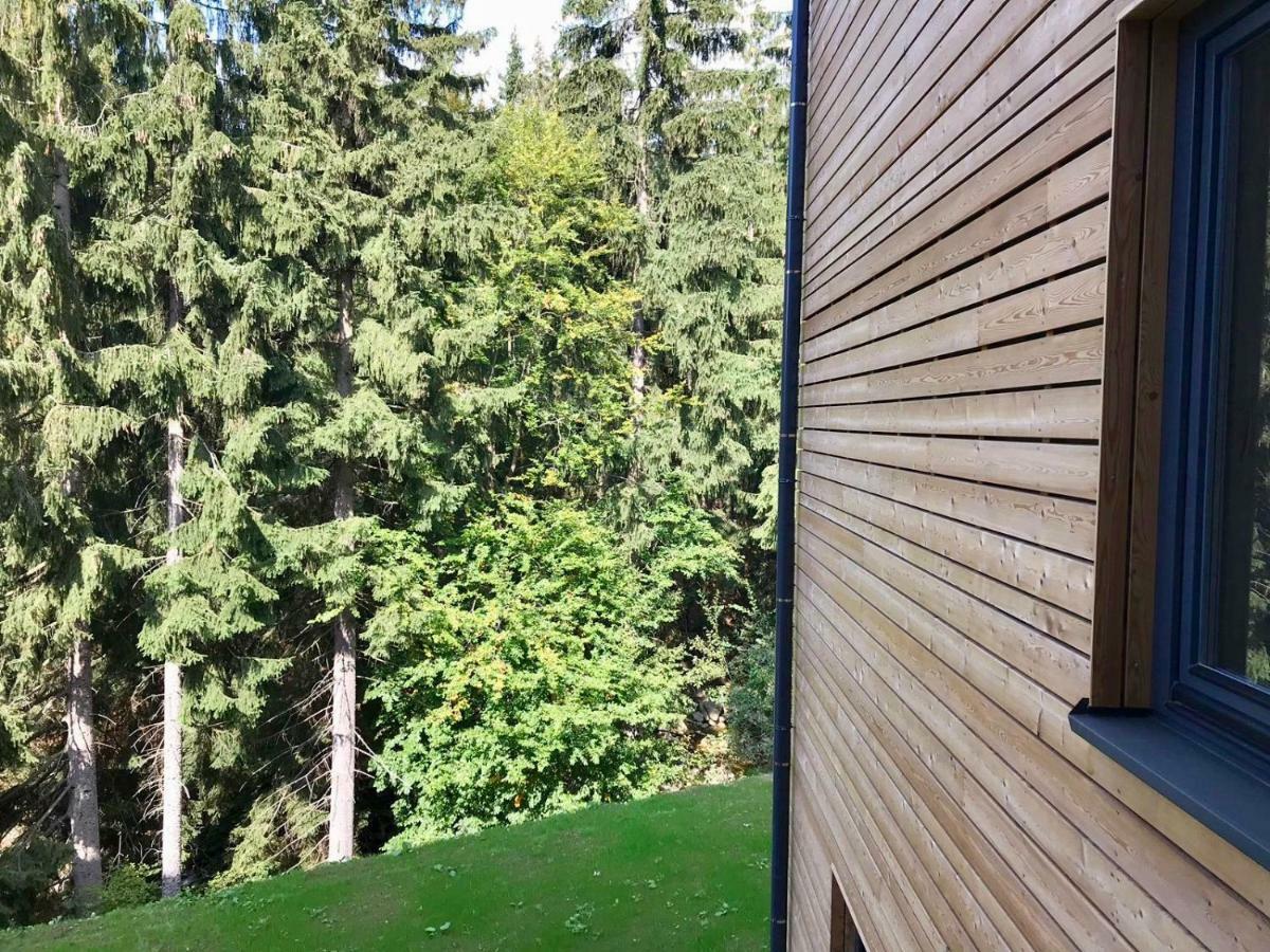 Utulny Apartman U Mumlavskych Vodopadu Harrachov Luaran gambar